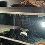 3 foot reptile tank black Image 3