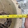 Wide garden pot Image 3