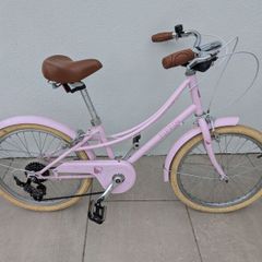 Pippin 20" Bicycle