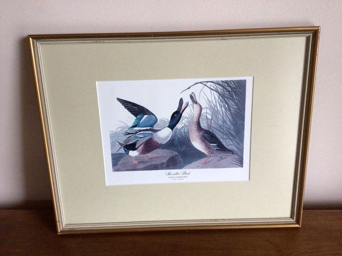 4 large wildfowl prints Framed