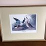 4 large wildfowl prints Framed Image 6