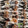wwe 50 wrestlers action figure lot Image 6