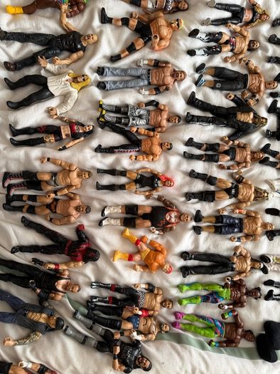 wwe 50 wrestlers action figure lot