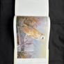 3 Collectible books Image 3