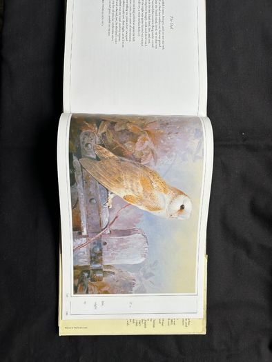 3 Collectible books