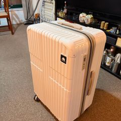 travel bag