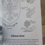 A History Of The O'dunnes. Duthai Ui Riagain ( Territory Of Ui Riagain) By Seosamh Mac Caba. First Edition Paperback In Very Good Condition. Image 7