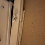 roller blinds & pelmets Image 2
