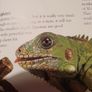 Rainforest Eyewonder Enter A World Of Discovery Image 3