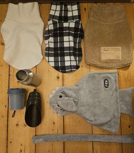 Premium bundle of H and M dog accessories in excellent condition. Perfect for a small dog.