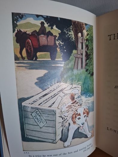 Shadow the Sheepdog by Enid Blyton
