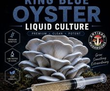 Mushroom Grow Kits & Cultures