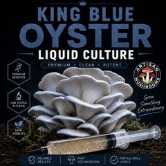 Mushroom Grow Kits & Cultures