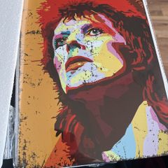 Retro David Bowie Metal Plague