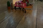 Schleich stable