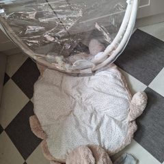 Elephant baby gym