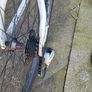 bike Image 3