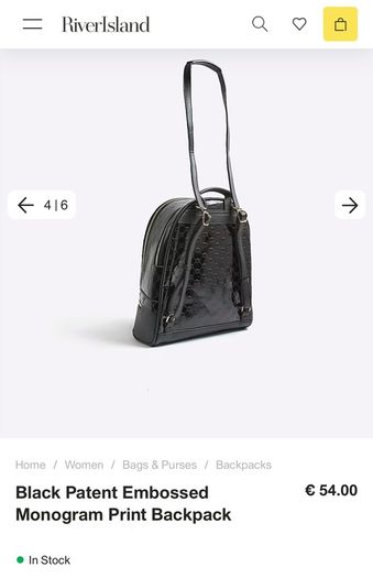 River Island Back Pack