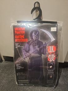 Halloween costume