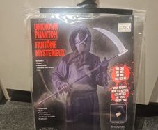 Halloween costume