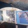 13 x LPs, originals, price for the lot, D18 Image 2