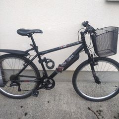 Mountain Bike