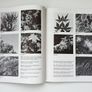 "Planting Design" book by Theodore D. Walker second edition paperback 1991 Image 4