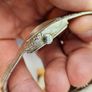 Vintage Swiss Made Nivada Lady's Mechanical Wind up Swiss Watch from 1960s Image 4