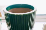 Garden Plant Pot