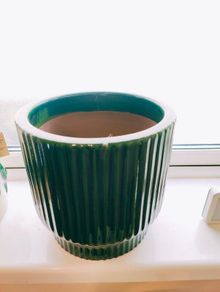 Garden Plant Pot
