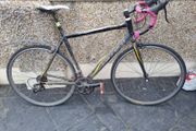 carrera  race needs tidying
