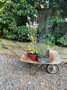 vintage wheelbarrow