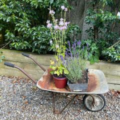 vintage wheelbarrow