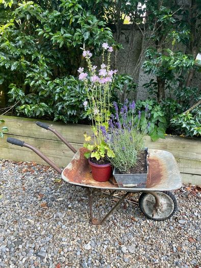 vintage wheelbarrow