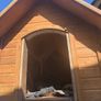 dog kennel Image 3