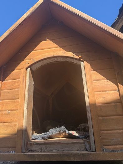 dog kennel