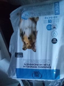 Dog nappies