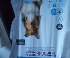 Dog nappies