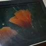 Apple iPad 1st Gen (A1219) 9.7" 32GB Image 6
