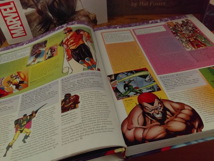 The DC Comics Encyclopedia ! The Definitive Guide To The Characters Of The DC Universe ! Beautiful Hardback !