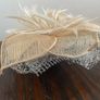 Fascinators Image 7