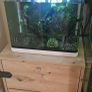 Shrimp tank Image 6