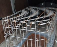 dog crate