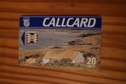 Irish Cottage callcard