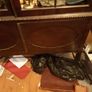 ,mahogany display cabinet Image 3