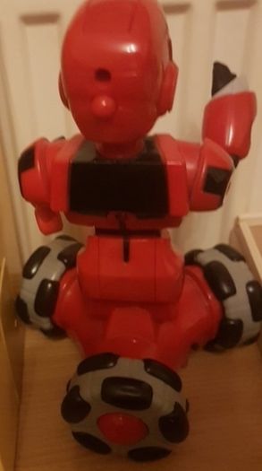 Mini Tri bot