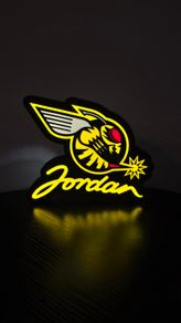 Honda Jordan Formula 1 Logo Light