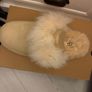 Ugg Slippers Image 2