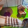 Hamster Cage and Accessories Bundle Image 7