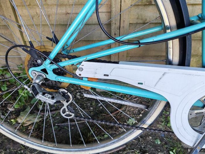 Italian bike lady's